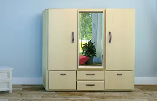 Compact Almirah for Small Space