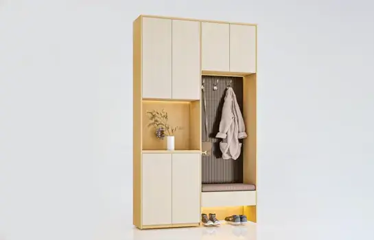 Multi-shelf Almirah